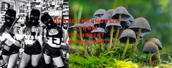 стафф Козловка
