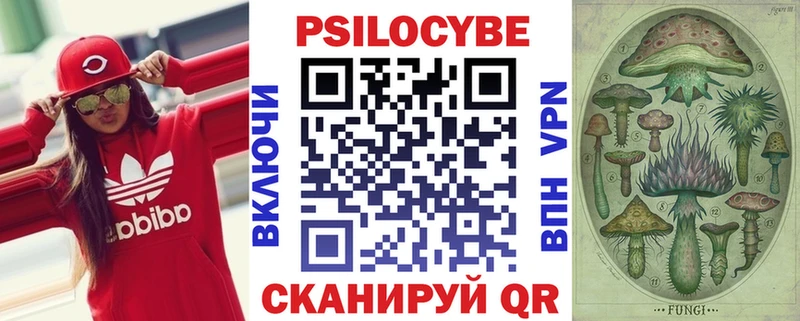 Купить Горбатов Псилоцибиновые грибы Psilocybe